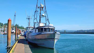 cb01 battlefish|Battlefish Season 1 .